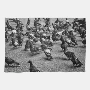 Black and white photography of many pigeons tea towel