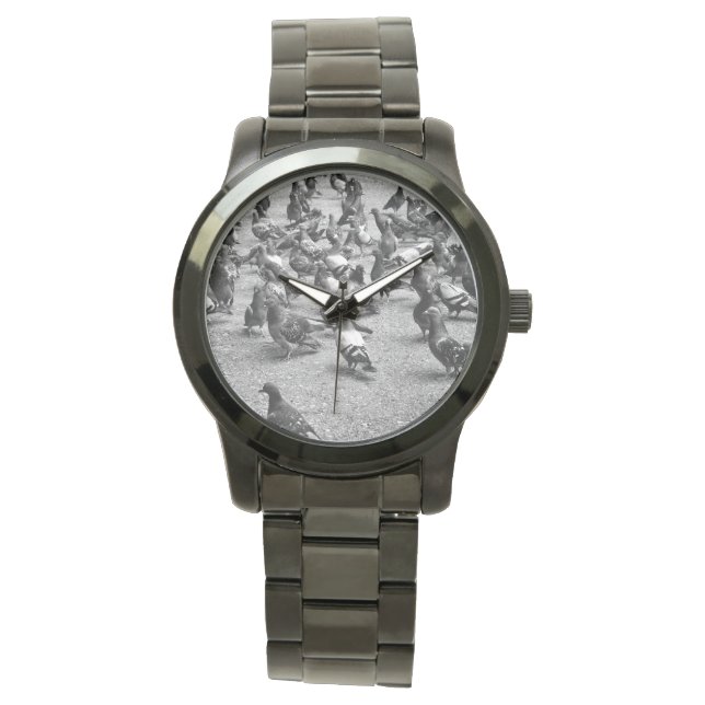 Black and white photography of many pigeons watch (Front)