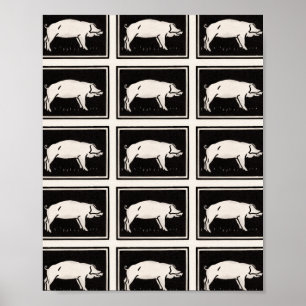 Black and White Pig by Julie de Graag Poster