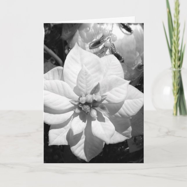Black and White Poinsettia Christmas Card (Front)