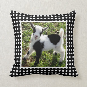 Black and White Polka Dot Nigerian Dwarf Goat Kid Cushion