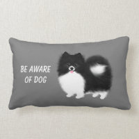 Black and White Pomeranian - Be Aware of Dog