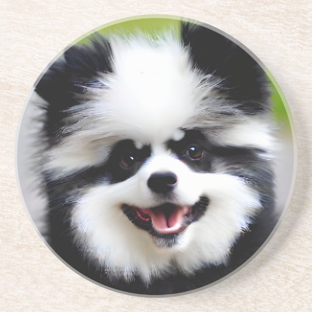 Black and White Pomeranian Coaster (Front)