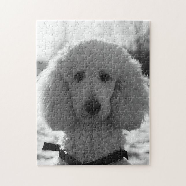 Black and White Poodle Face Puppy Eyes Jigsaw Puzzle (Vertical)