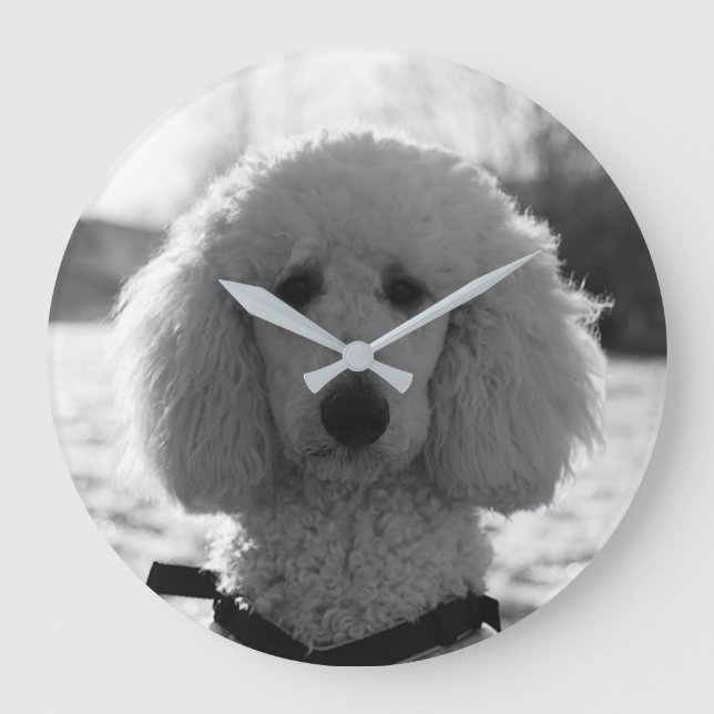 Black and White Poodle Face Puppy Eyes Large Clock (Front)