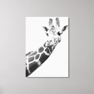 Black and white portrait of a giraffe canvas print