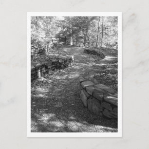 Black and White Postcard