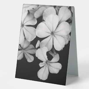 Black and White Postcard Design