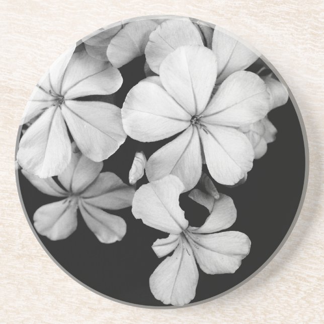 Black and White Postcard Design Coaster (Front)