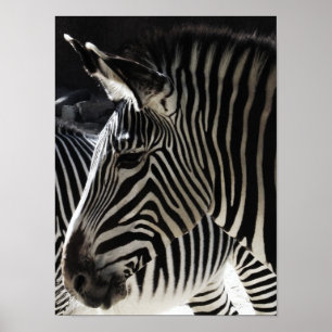 black and white poster