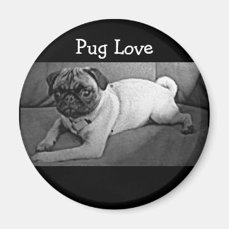 Black and White Pug Magnet
