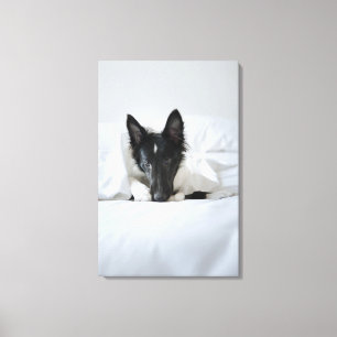 Black and white puppy in  bed with bone canvas print