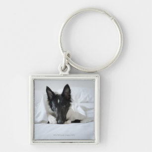 Black and white puppy in bed with bone key ring