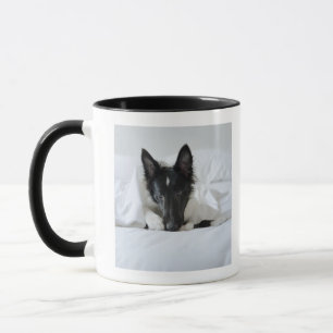 Black and white puppy in bed with bone mug
