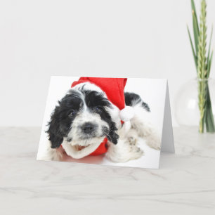 Black and white puppy wearing Santa outfit Holiday Card