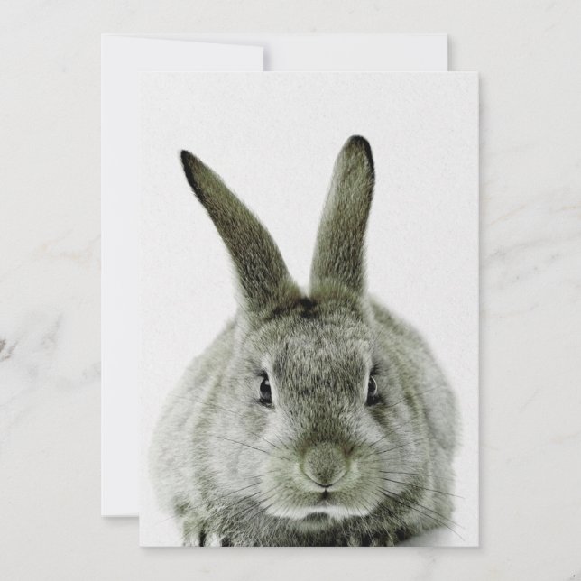 black and white rabbit |gift for rabbit lover holiday card (Front)
