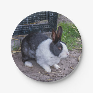 Black and white rabbit paper plate