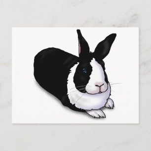 Black and White Rabbit Postcard