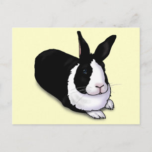 Black and White Rabbit Postcard