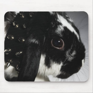 Black and white rabbit with studded collar mouse mat