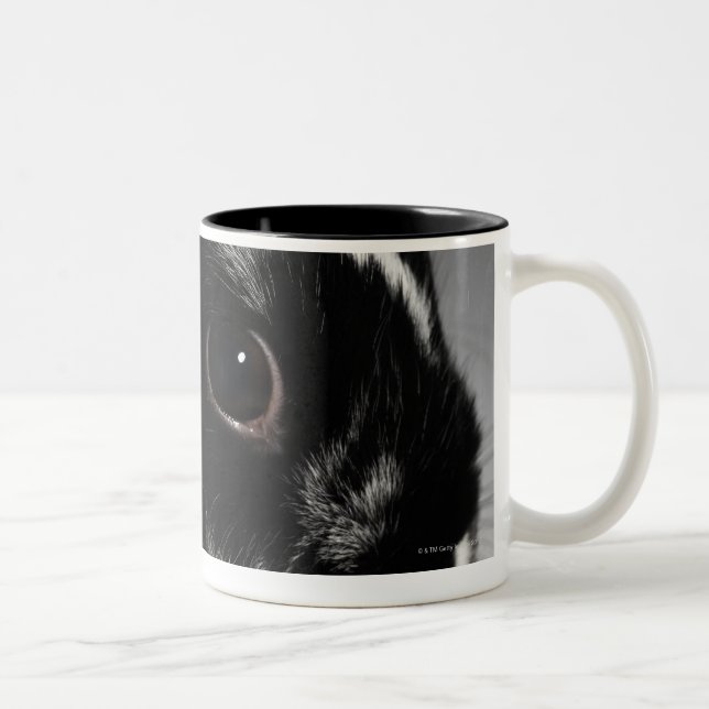 Black and white rabbit with studded collar Two-Tone coffee mug (Right)