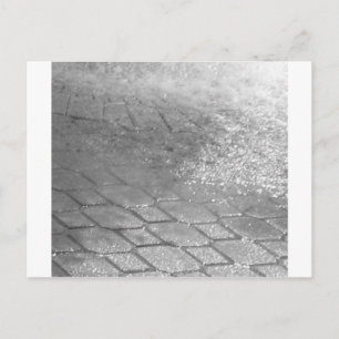 Black and White RainDrops Postcard
