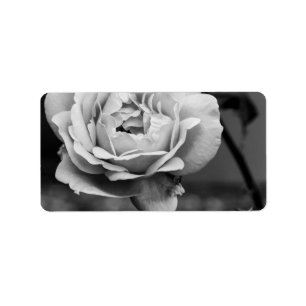 Black and White Romantic Rose Label
