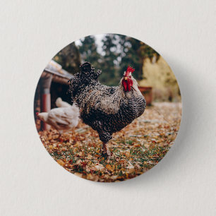 Black and White Rooster with Two Hens in Nature 6 Cm Round Badge
