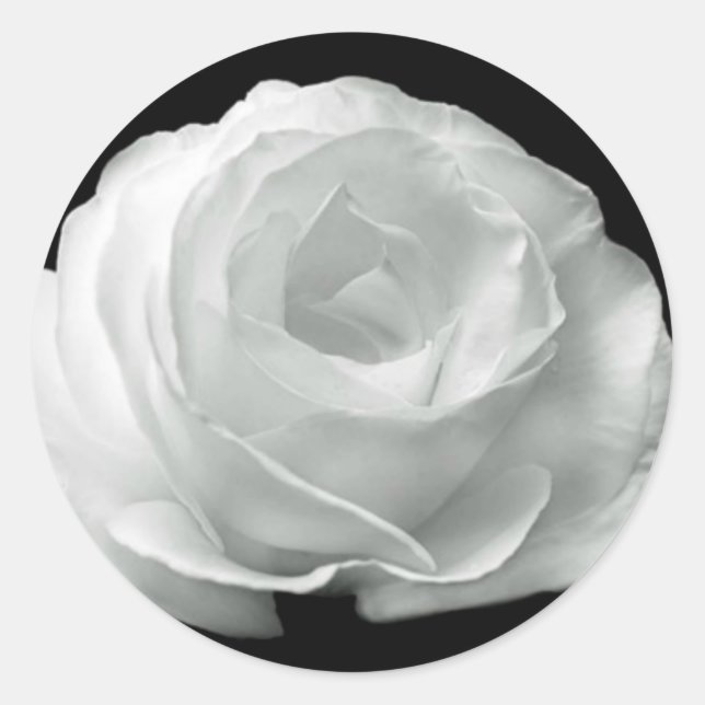 Black And White Rose Classic Round Sticker (Front)