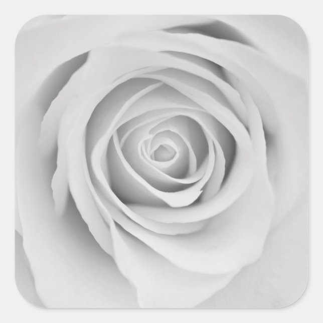 Black and white rose flower Stickers (Front)