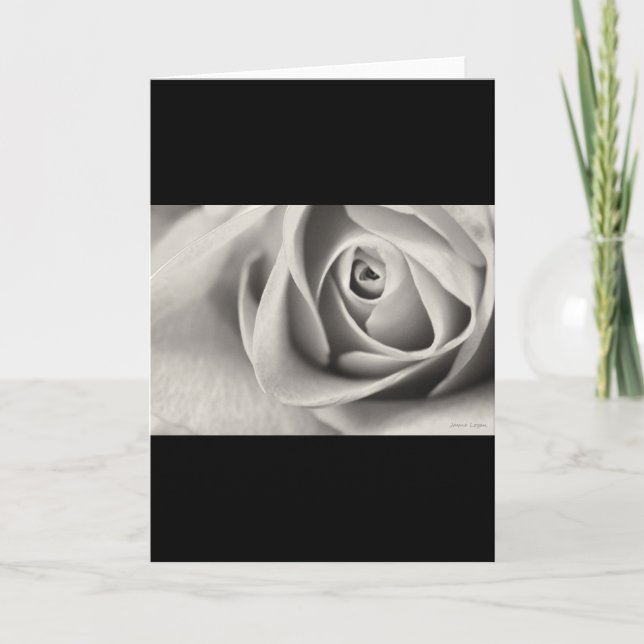 Black and White Rose, stationery, template (Front)