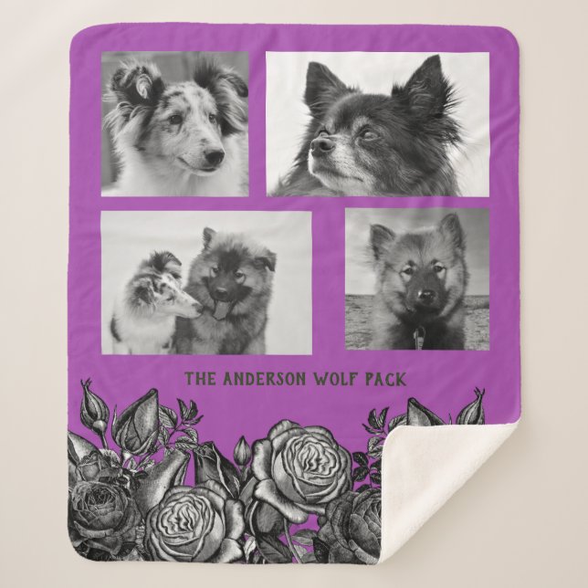 Black and White Roses Bright Purple Photo Collage Sherpa Blanket (Front)