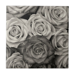 Black and White Roses Tile