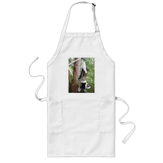 Black and white ruffed lemur is hungry long apron (Front)