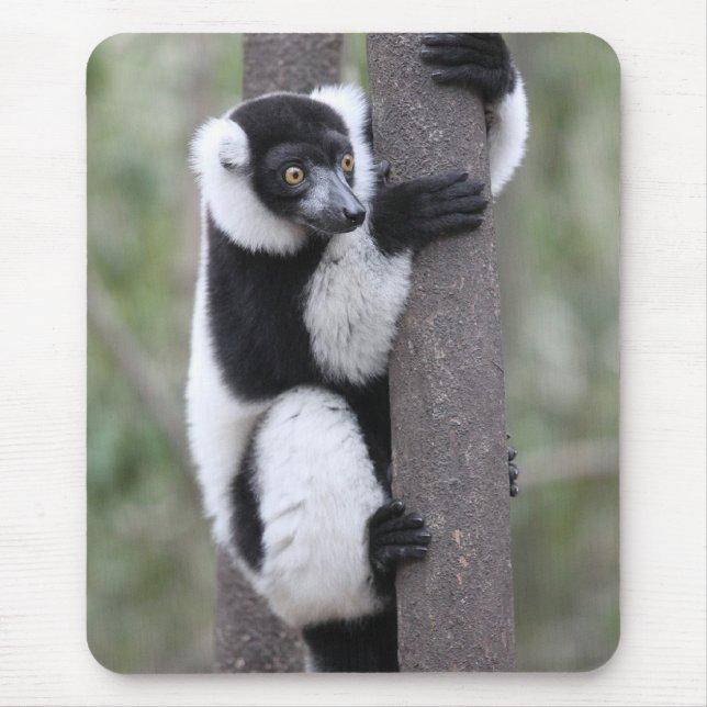 Black and White Ruffed Lemur on Tree Mouse Mat (Front)