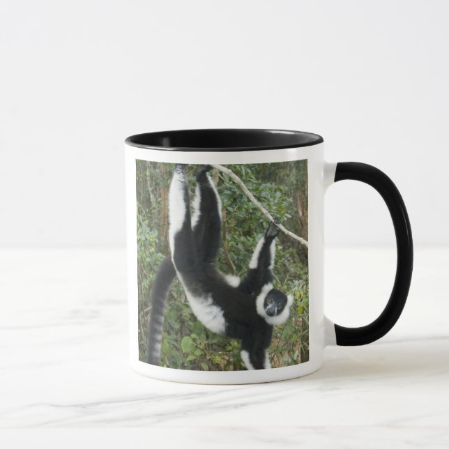 Black and White Ruffed Lemur, (Varecia Mug (Right)