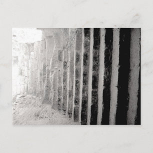 Black and White Scenery Photograph Stairway Postcard