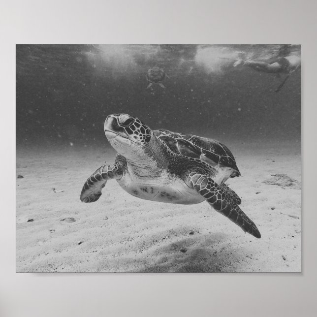 Black and White Sea Turtle Tropical Printable Art  Poster (Front)