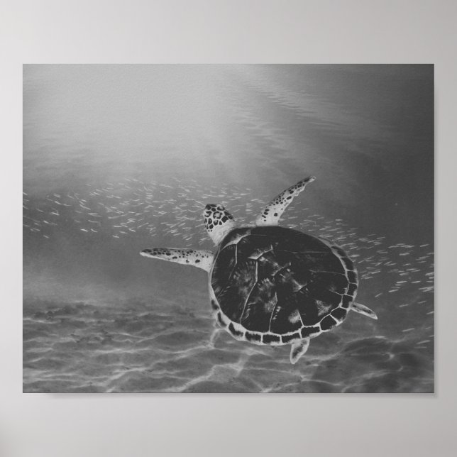 Black and White Sea Turtle Tropical Printable Art  Poster (Front)