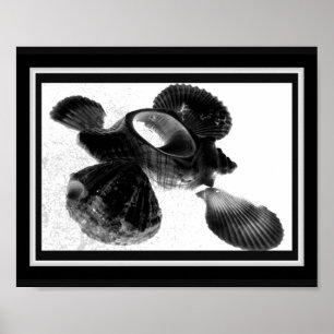 Black and White Seashell Tropical Printable Art Poster
