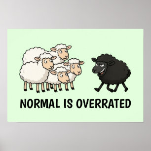 Black and White Sheep Poster