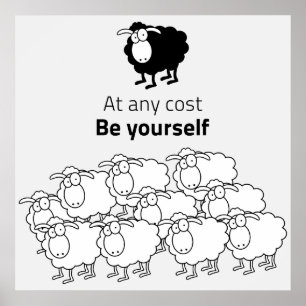 Black and white sheep poster