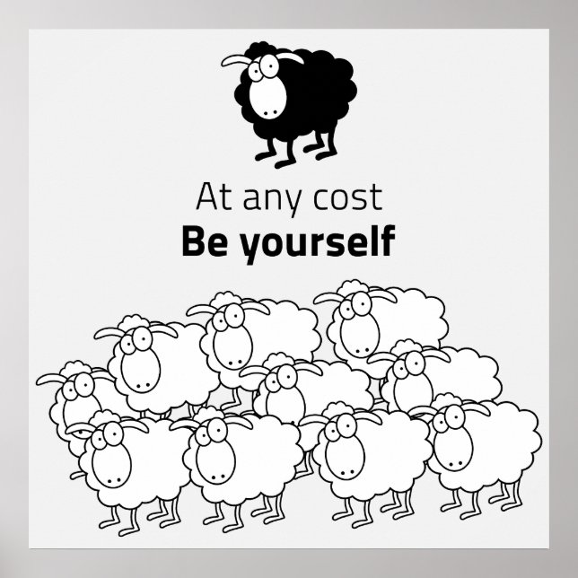 Black and white sheep poster (Front)