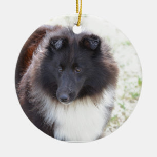 Black and White Sheltie Ceramic Tree Decoration