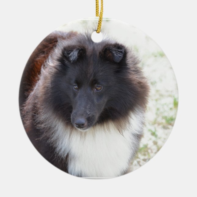 Black and White Sheltie Ceramic Tree Decoration (Front)