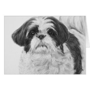 Black and White Shih Tzu Art