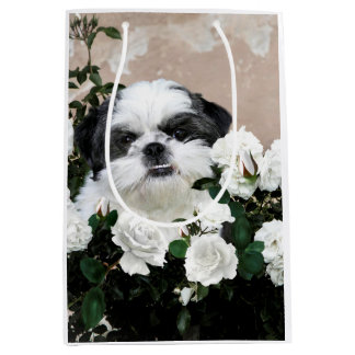 Black and white Shih Tzu Medium Gift Bag