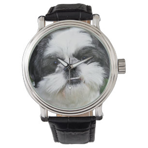 Black and white Shih Tzu Watch