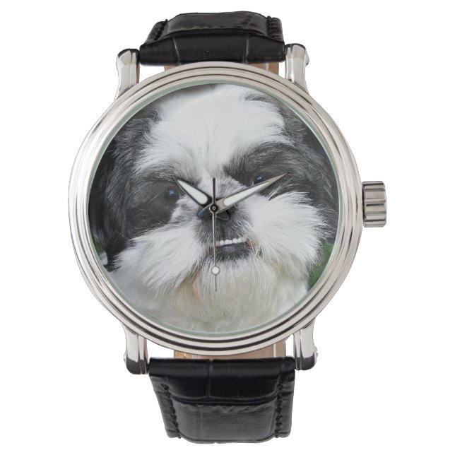 Black and white Shih Tzu Watch (Front)
