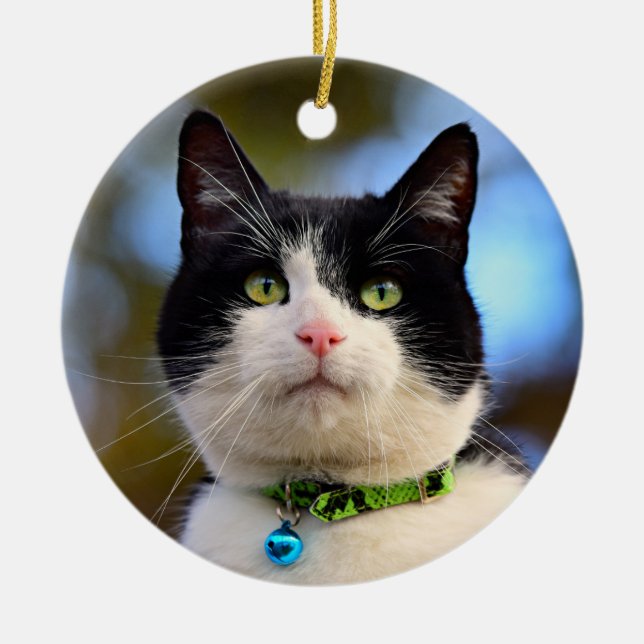Black and White Shorthair Cat Ceramic Tree Decoration (Front)